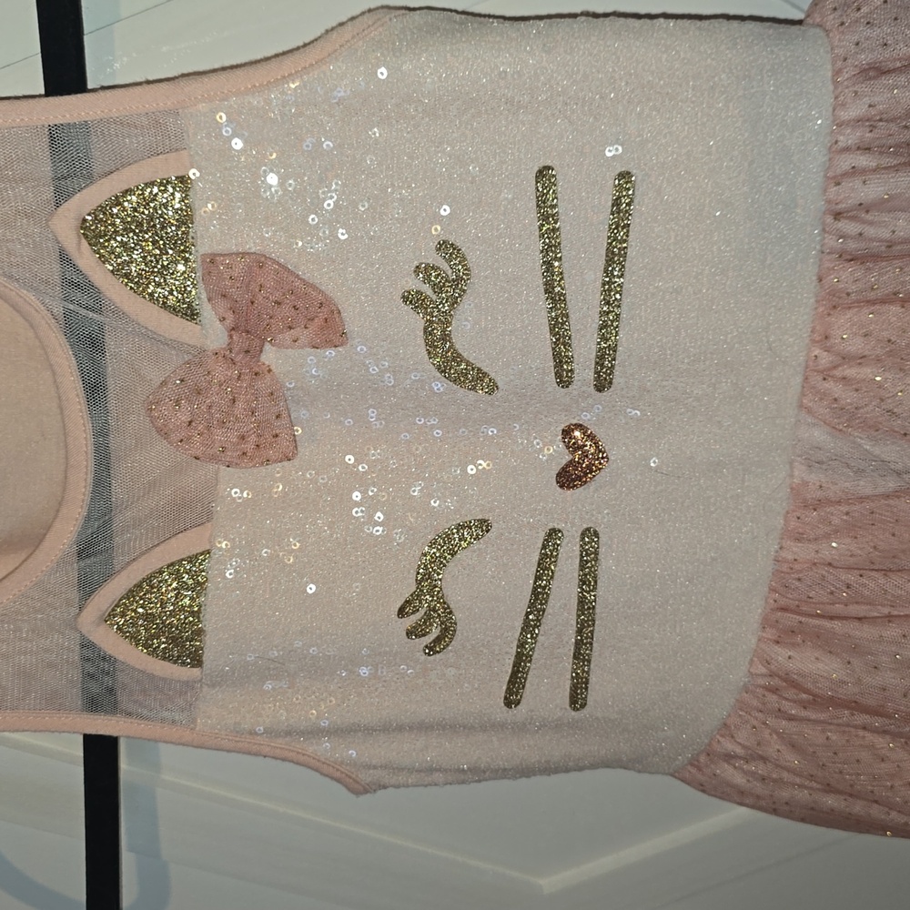 Sparkly Dress Cat Tulle Dress